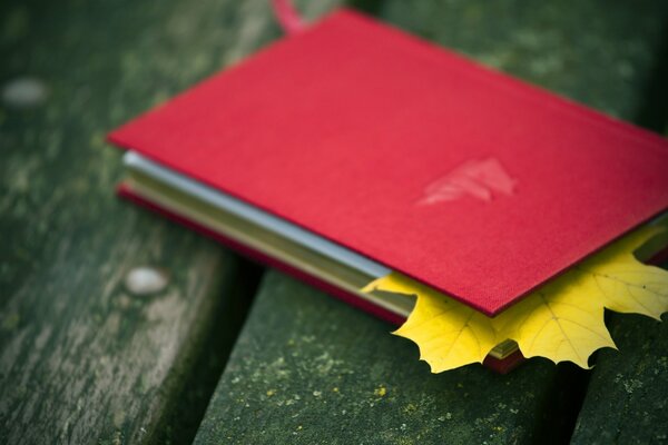 Hoja de otoño en un cuaderno rojo