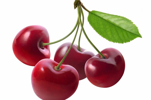 Ripe juicy cherries with a leaf
