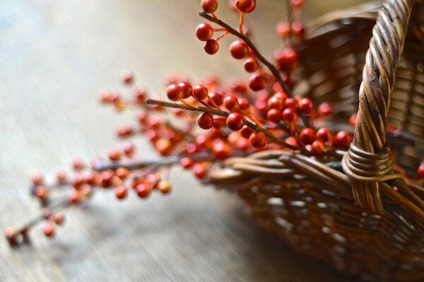 An openwork basket and a branch of berries