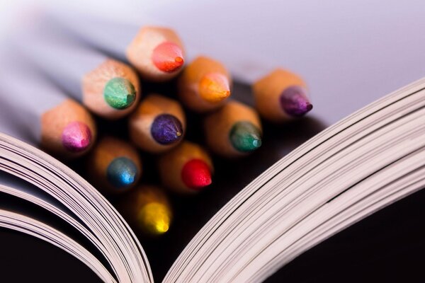 Photo de gros plan de crayons de couleur sur un livre ouvert