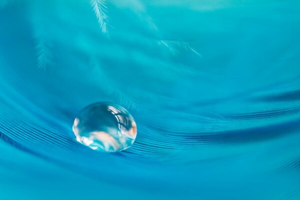 A drop of blue sky a feather nearby