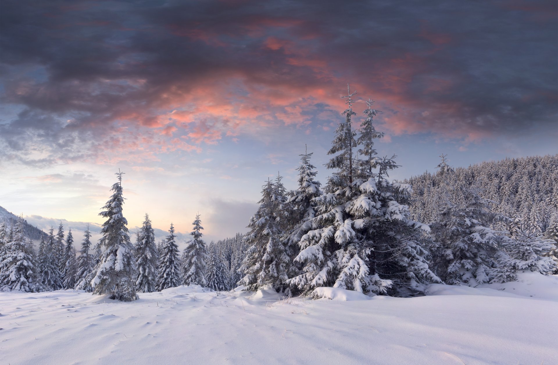 neige aube nuages hiver forêt collines