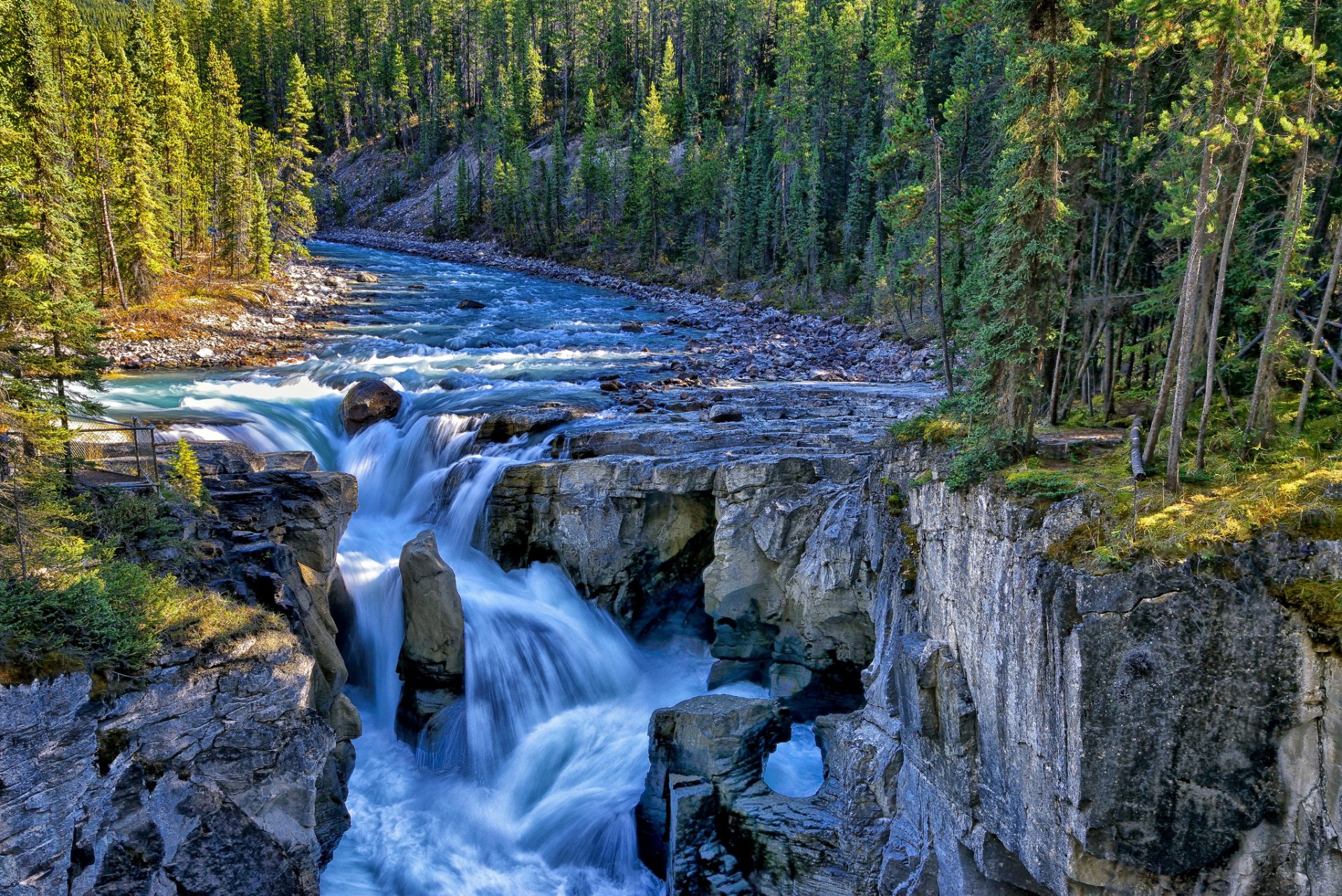 unwapta wasserfall sunwapta river jasper national park kanada wasserfall fluss felsen wald bäume