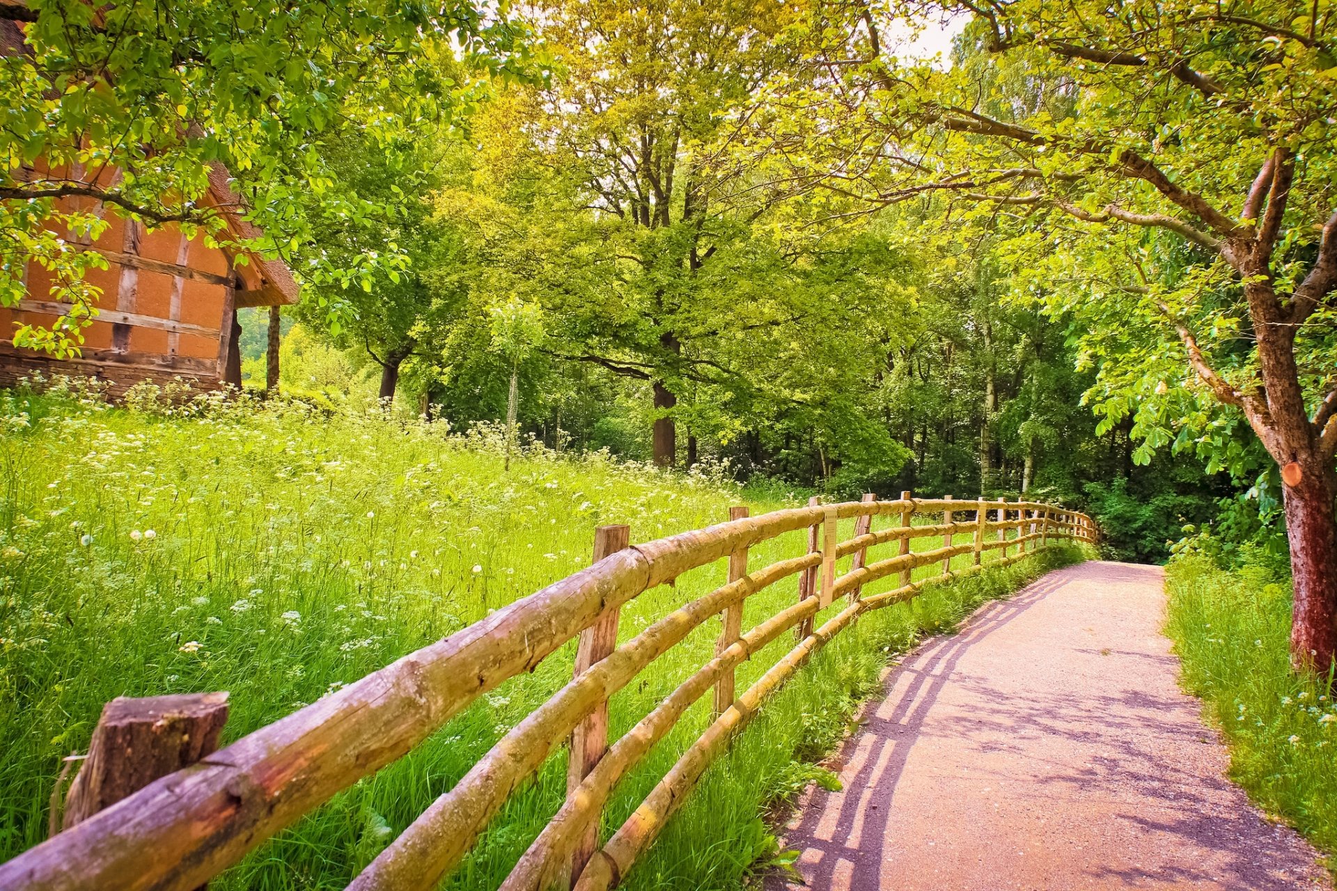 route ombre clôture en bois arbres herbe verdure maison été nature