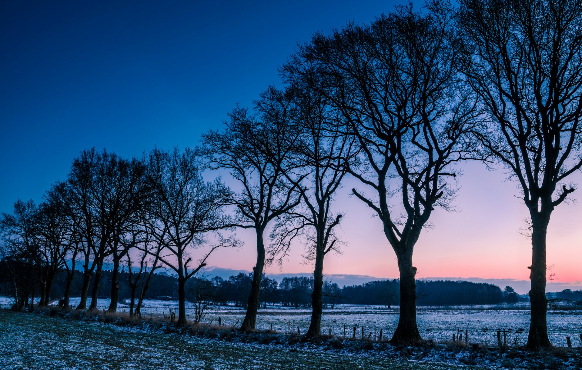 norwegen feld wiese bäume winter frost morgen morgendämmerung morgenröte