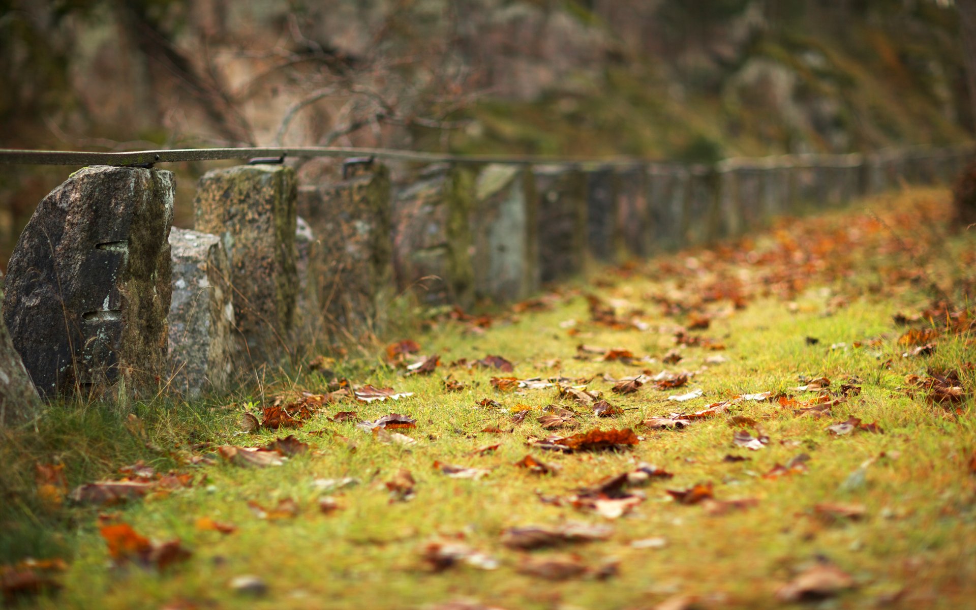 otoño temporada tristeza hierba hojas de hierba hojas de naranja caídas terreno valla valla de piedra original