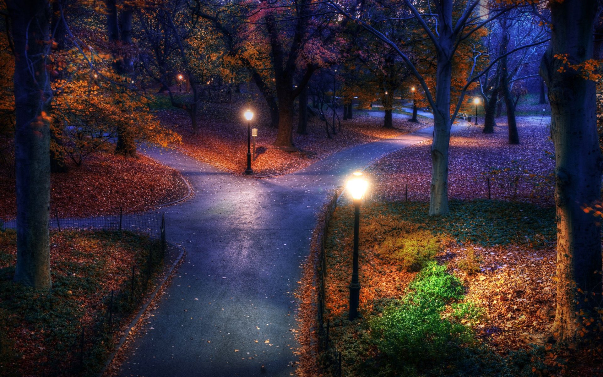 parque noche linternas bosque árboles otoño follaje callejón