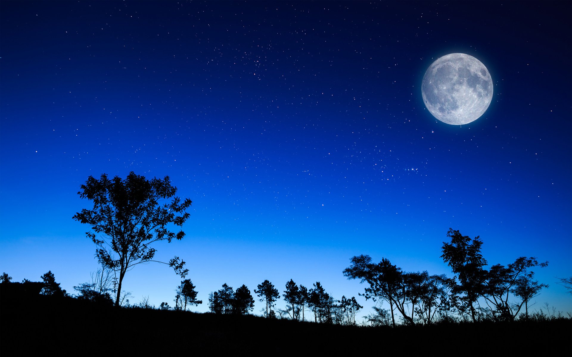 himmel nacht sterne mond silhouetten bäume