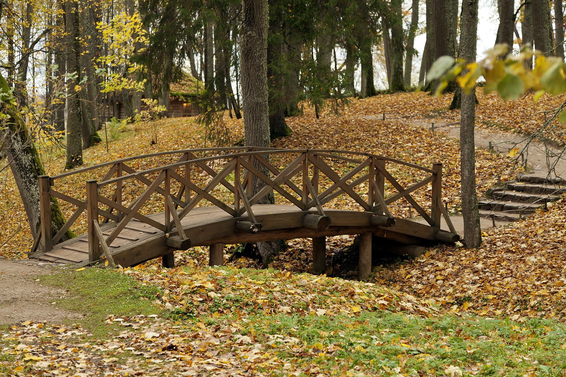 park jesień przyroda most