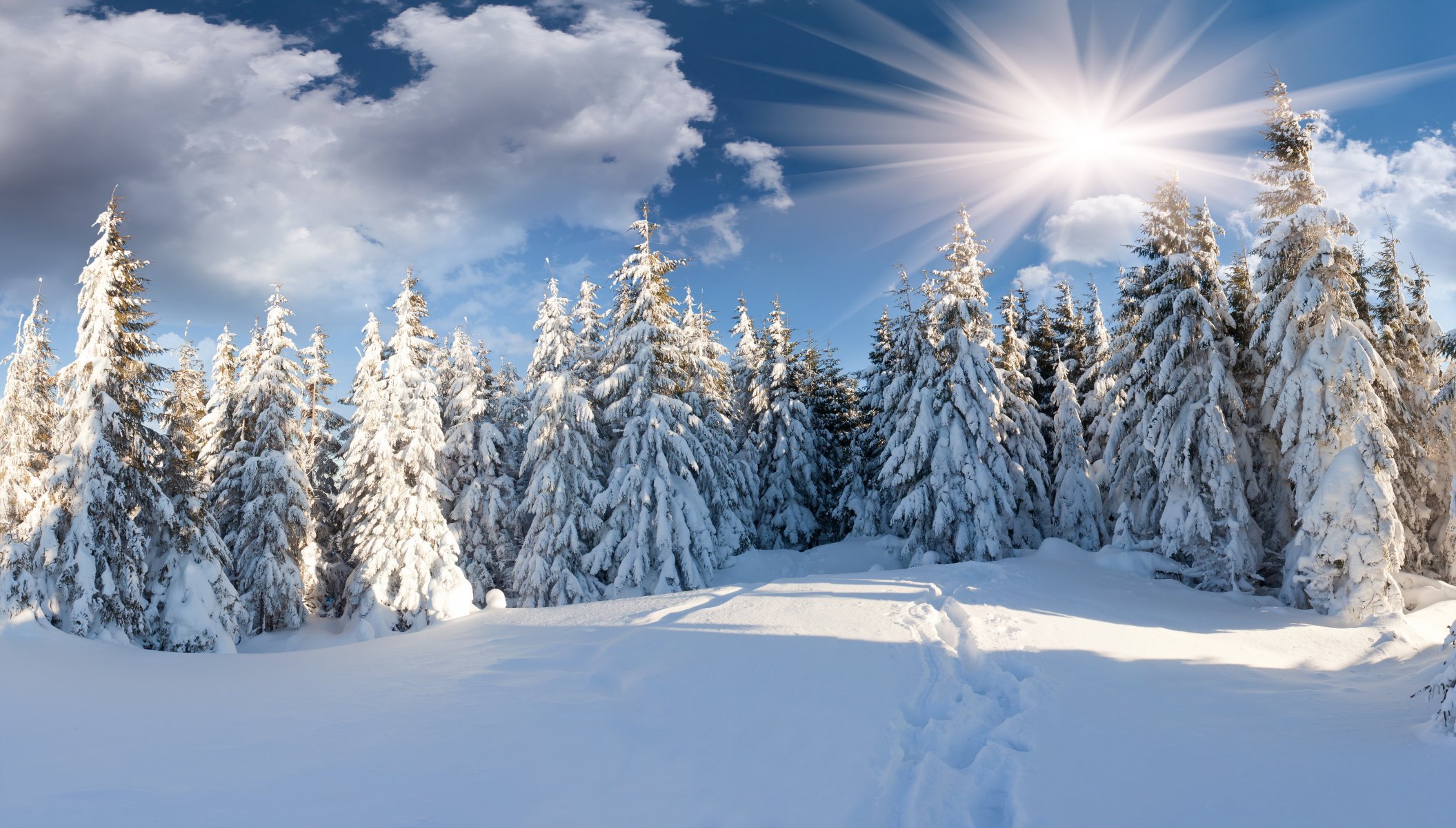 inverno foresta neve sentiero sole nuvole