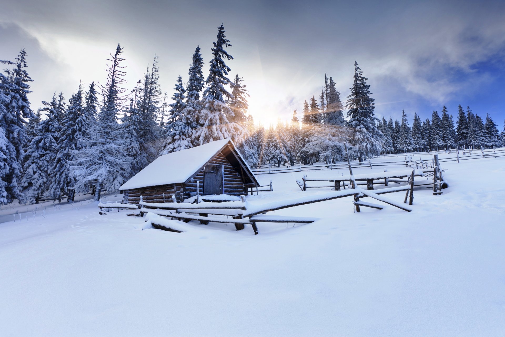 wald winter hütte scheune zaun bäume tannen schnee spuren sonne