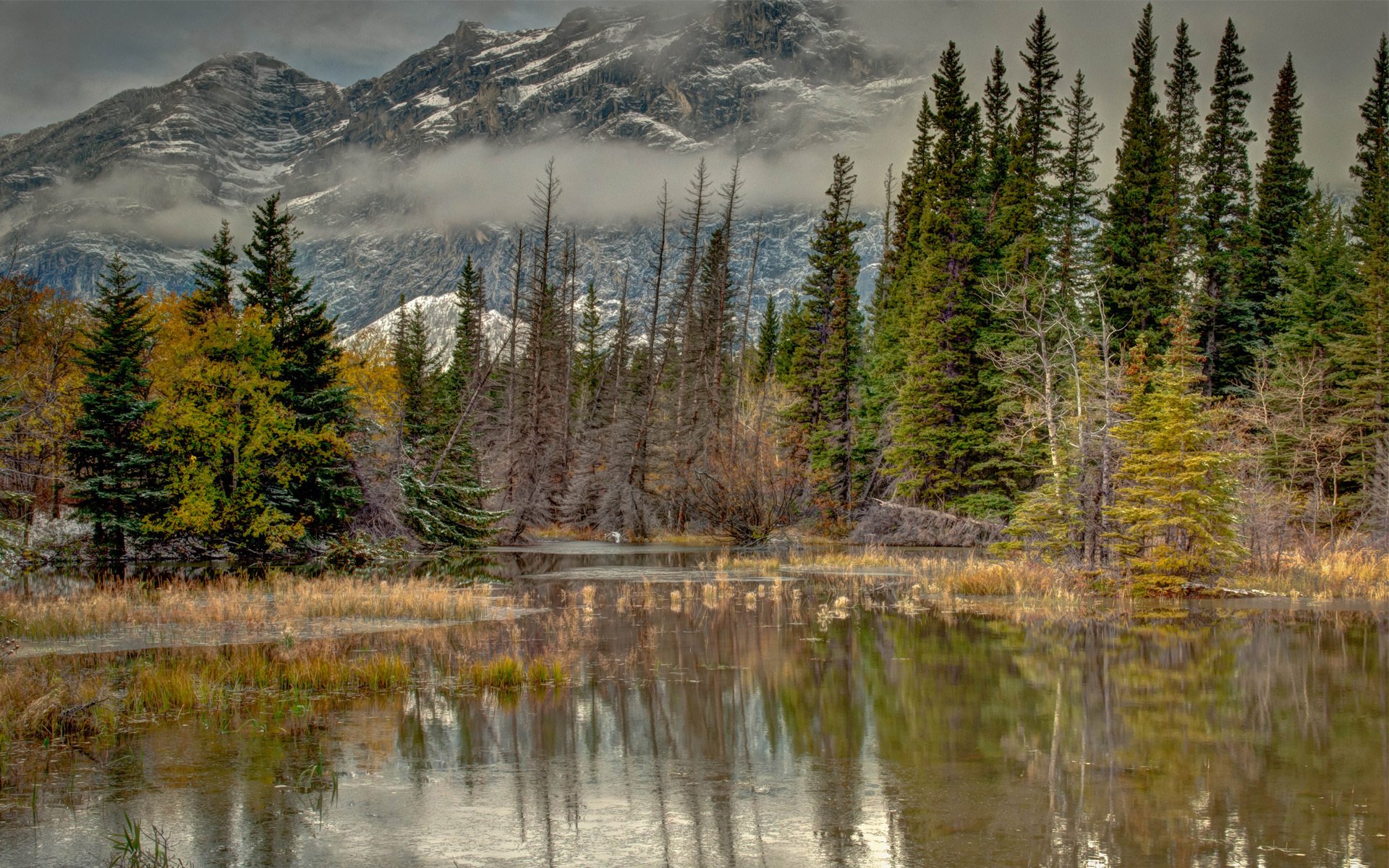 natur herbst bäume berge wasser teich see nebel fichte reflexion