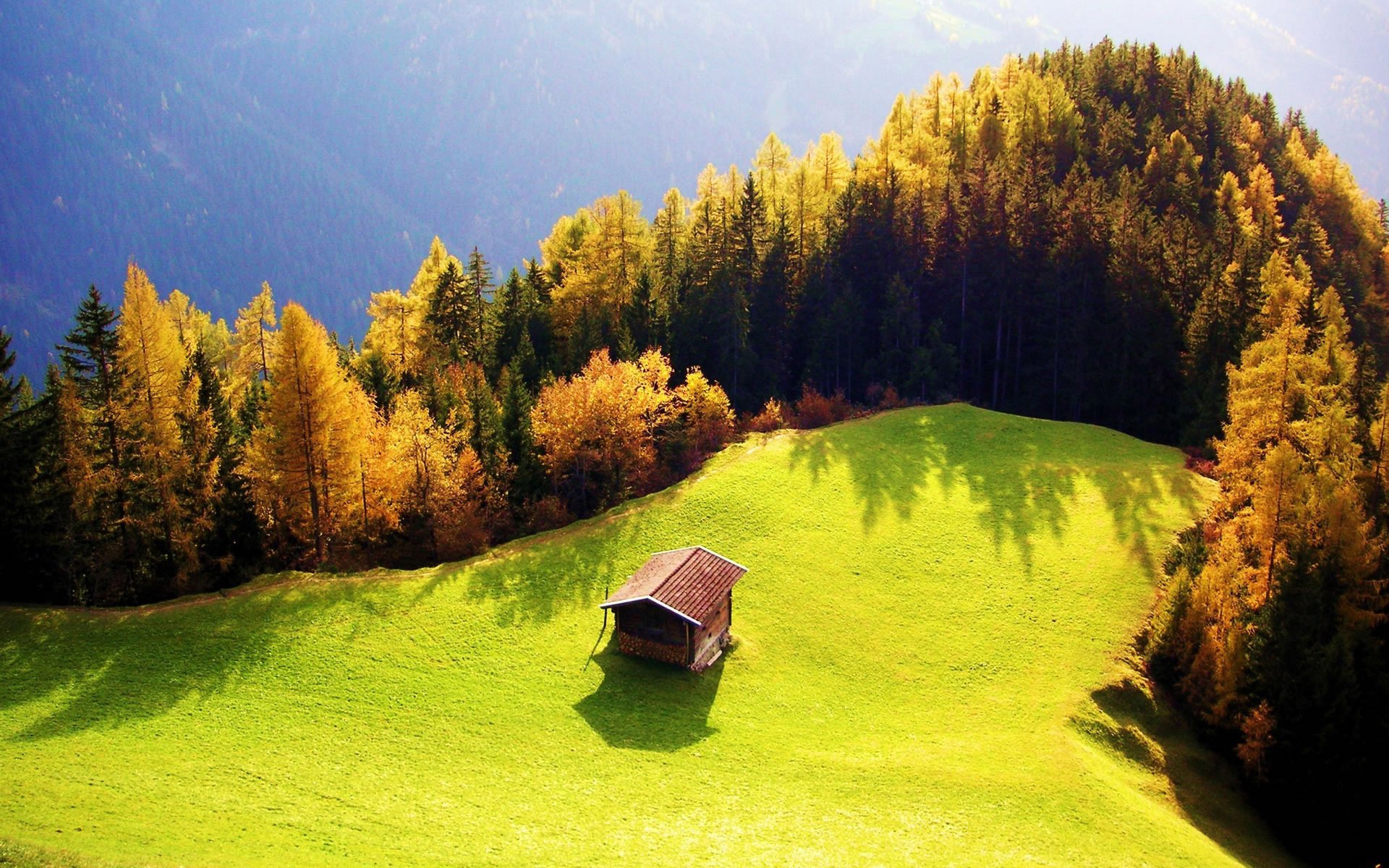 autunno sole collina foresta radura casa