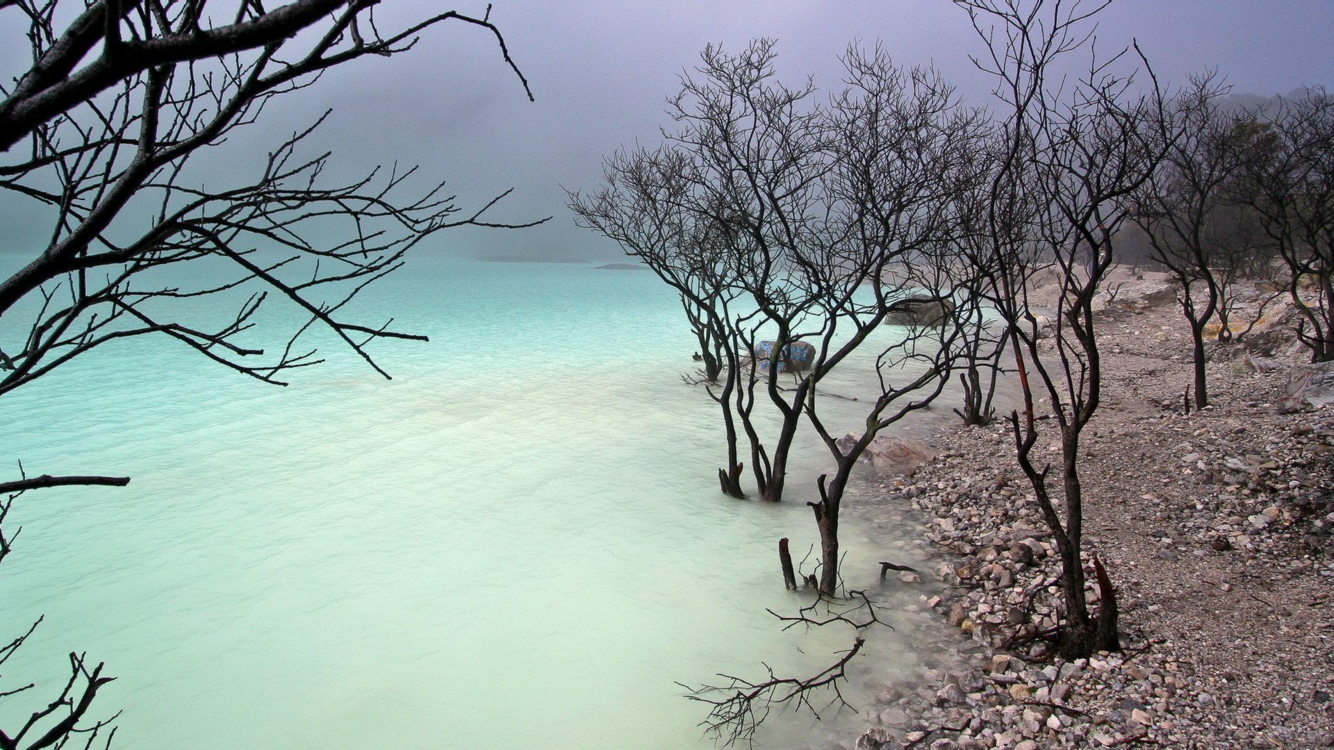 lago playa árboles naturaleza