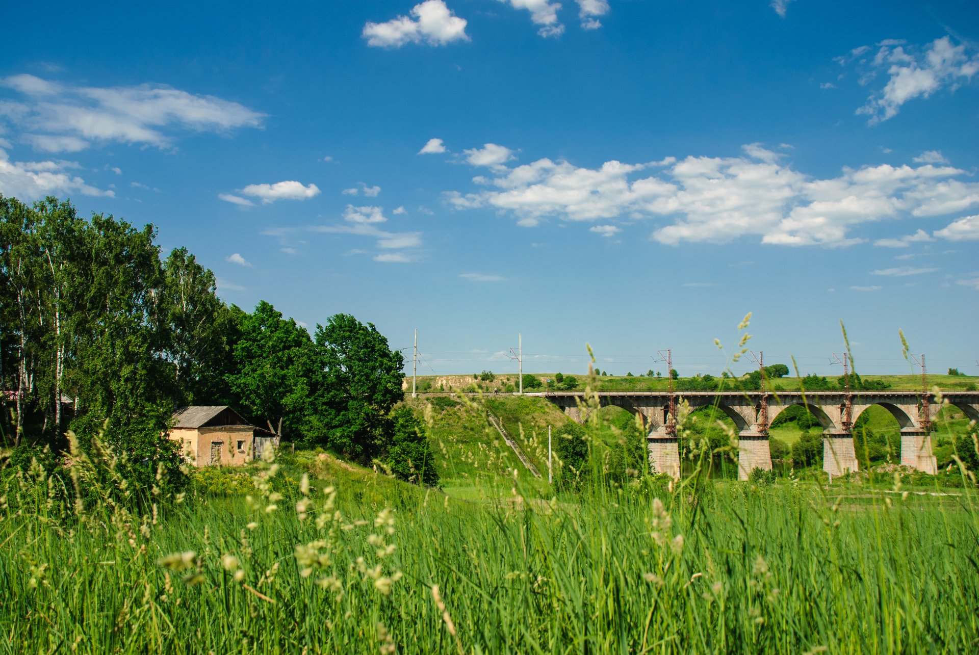 ummer grass bridge sky cloud