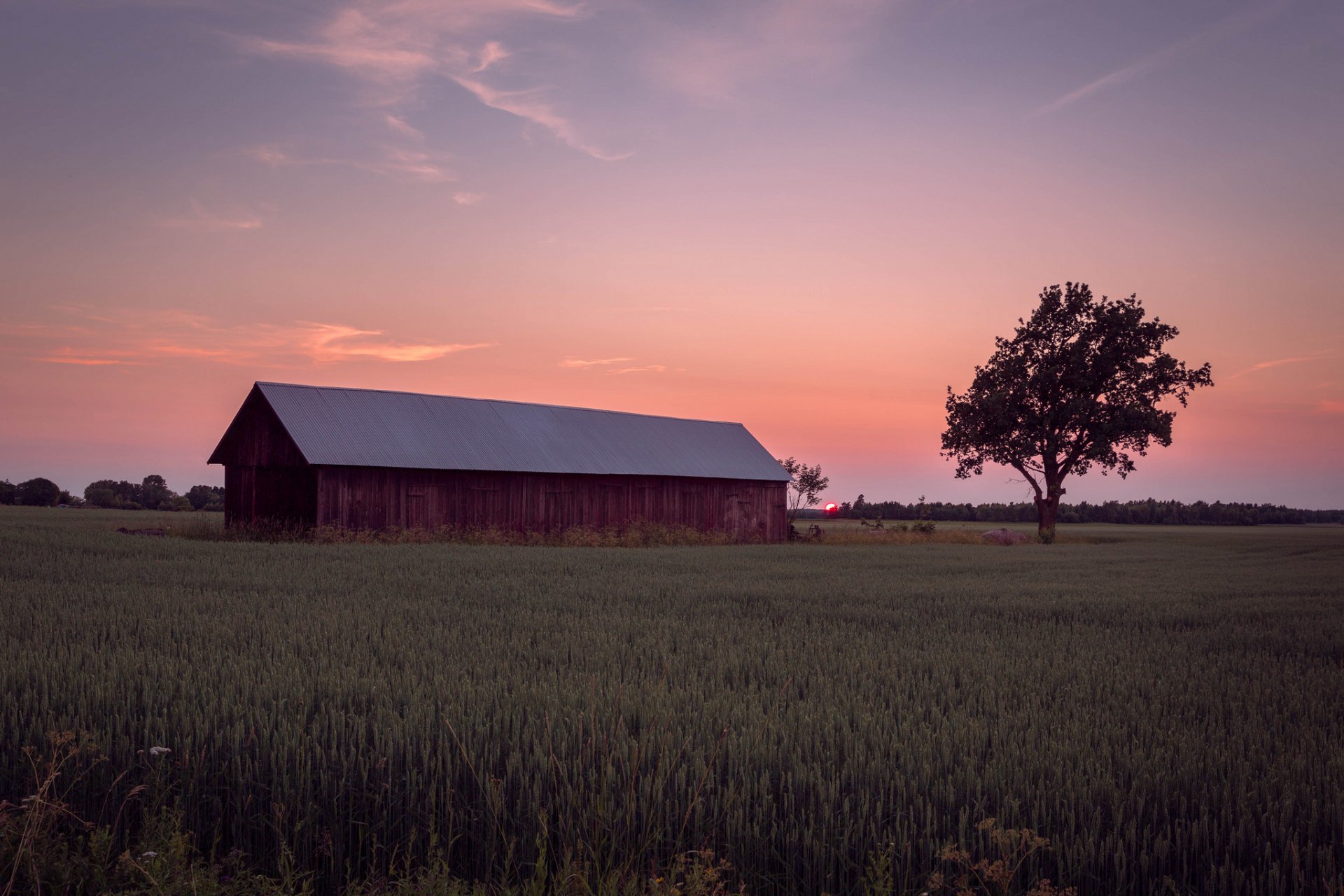 weden the field field farm tree night sun sunset orange sky cloud