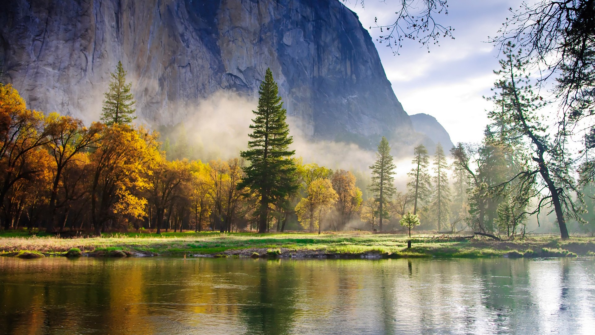 wallpaper nature mountain forest spruce lake fog morning