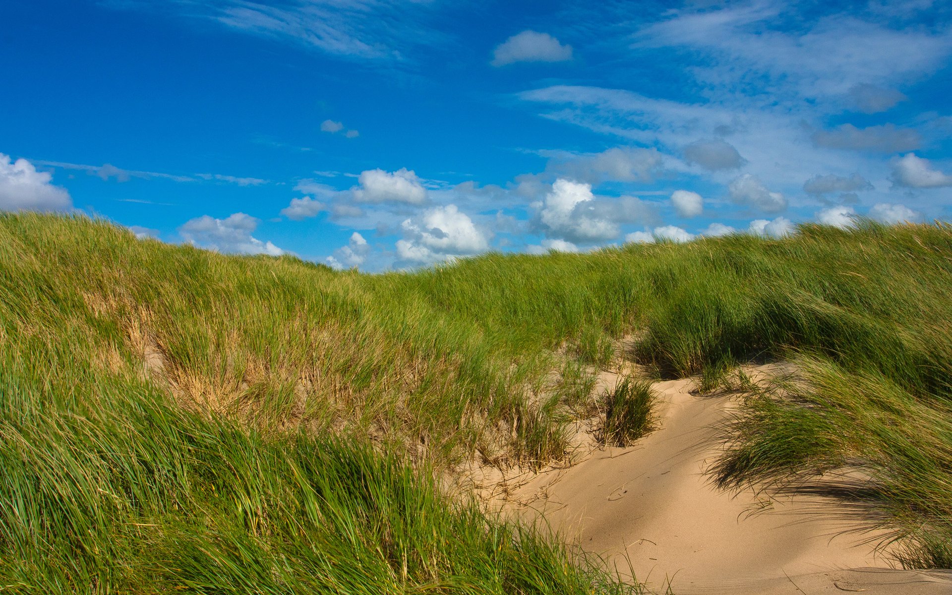 gras sand himmel grün wolken sonnig dünen hügel