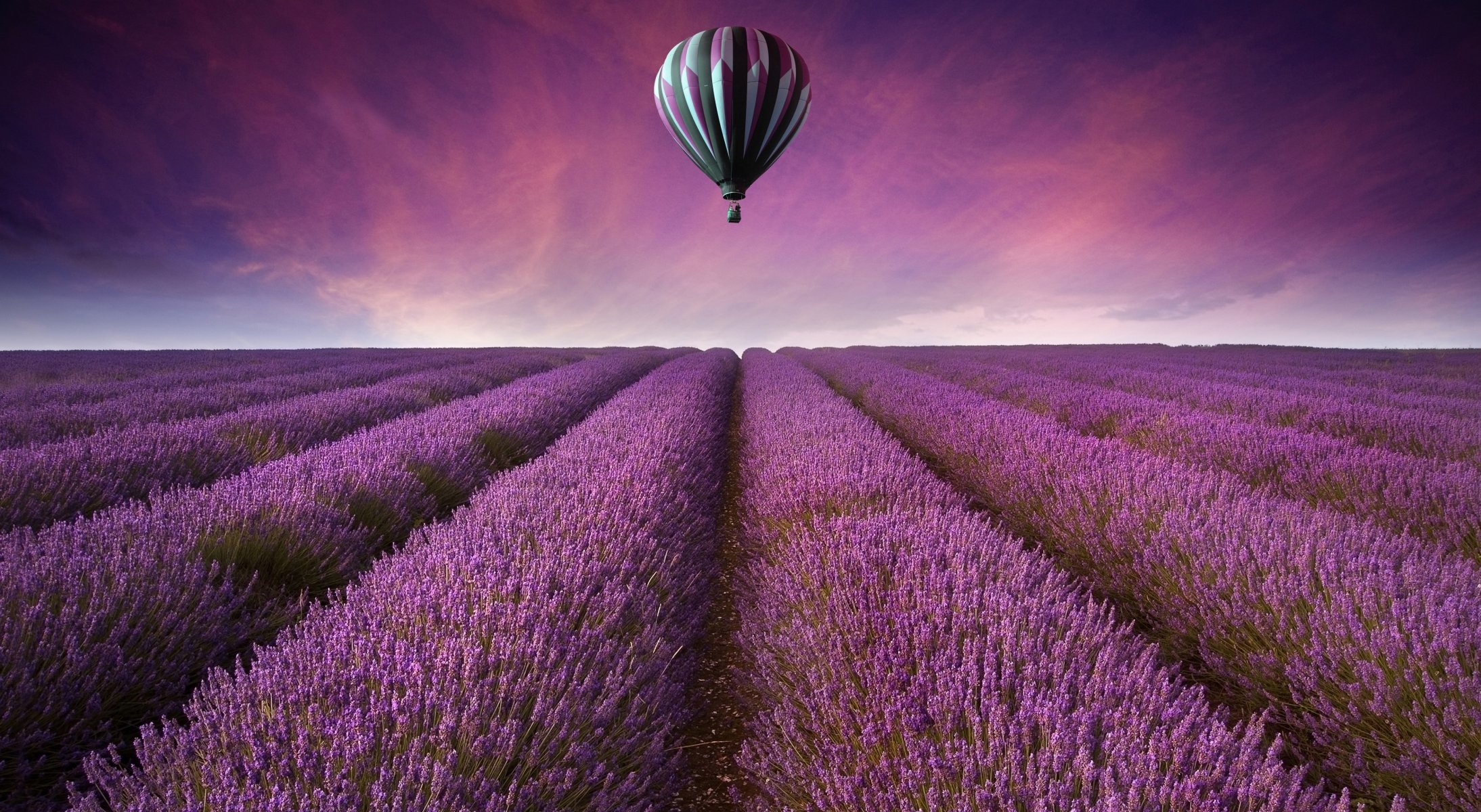 nature paysage champ champs lavande air ballon fleurs violet ciel fond papier peint écran large plein écran écran large écran large