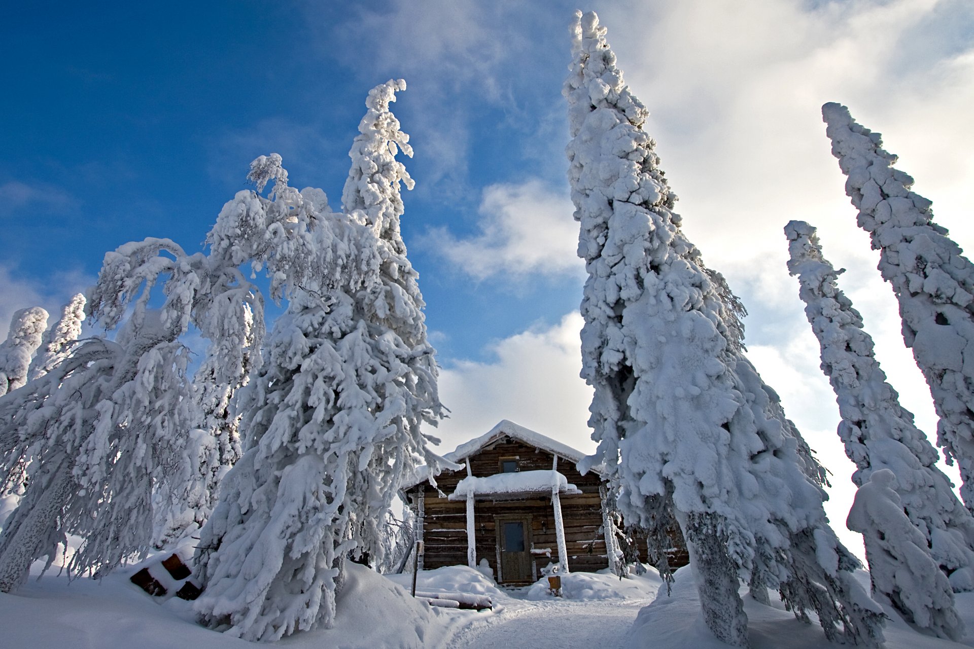 finlandia natura zima śnieg zaspy świerki domek