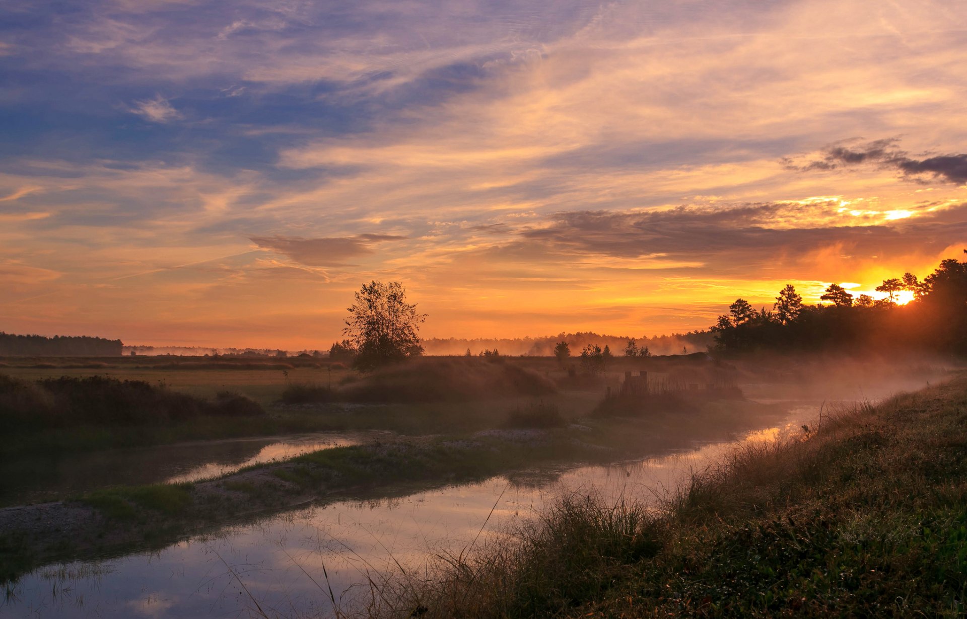 the field field tree valley grass channel night sun sunset sky cloud