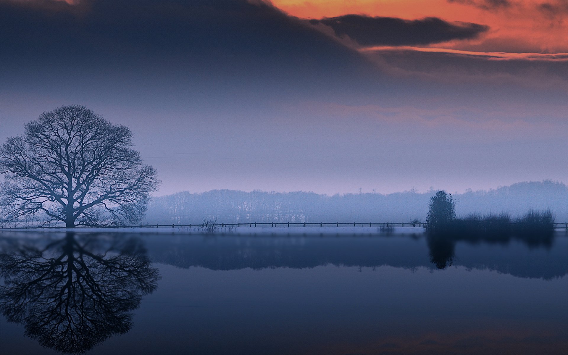 acqua oezro albero corona riflessione nuvole