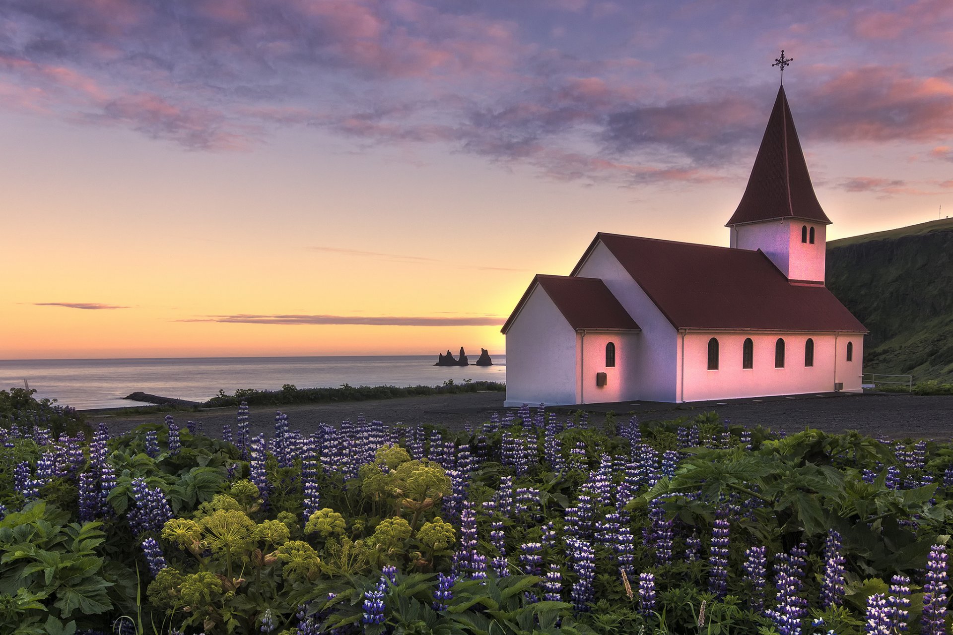 islanda chiesa fiori lupini costa oceano sera tramonto cielo nuvole