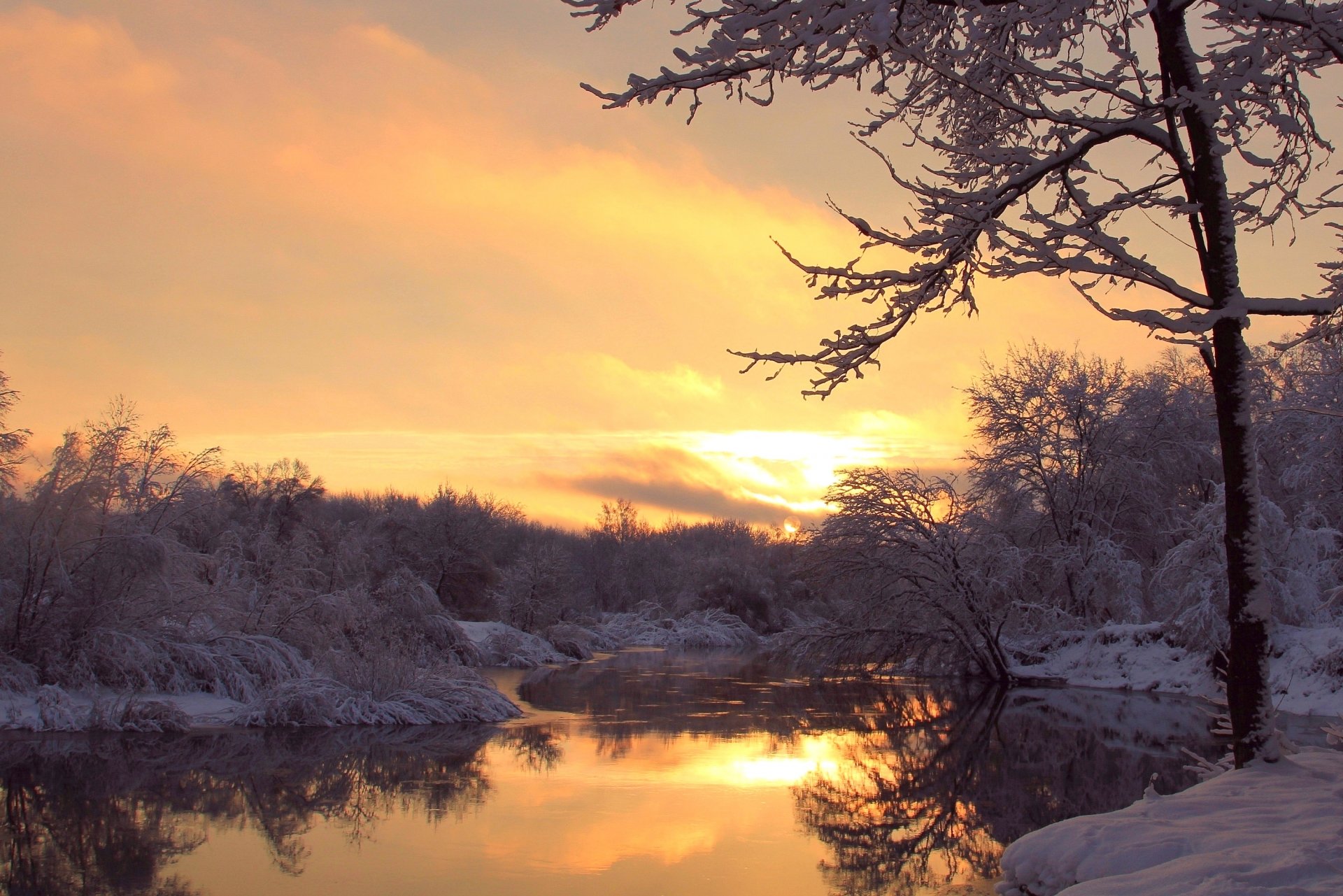 hiver rivière arbres givre soir coucher de soleil