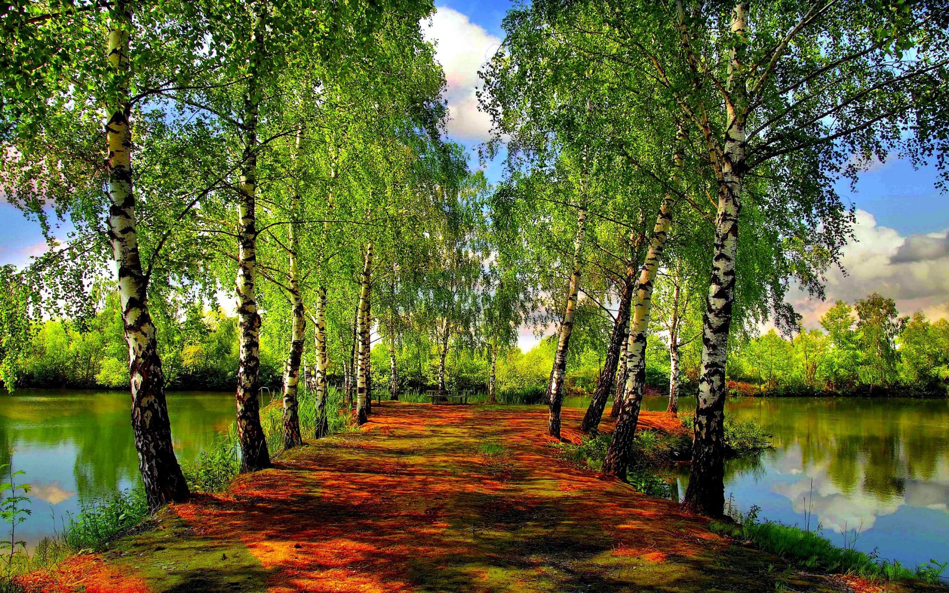 see fluss bäume grün frühling wald himmel wolken