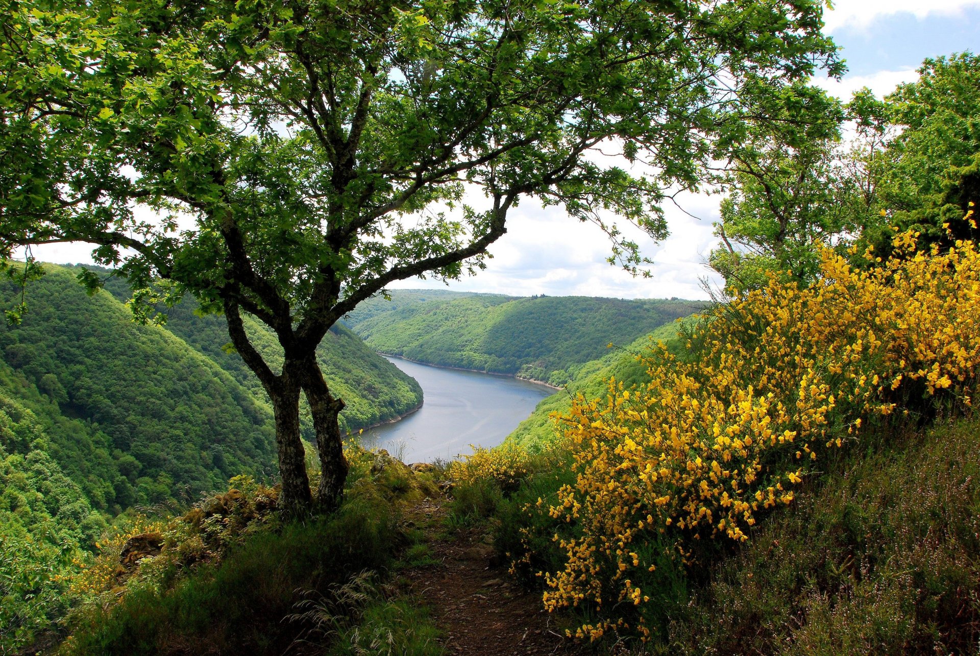 views river hills trail tree bush gra