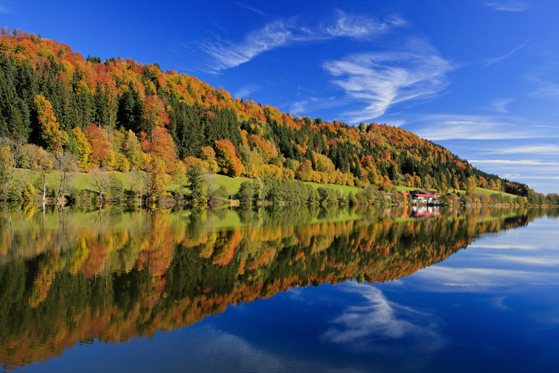 germania baviera autunno foresta alberi multicolore foglie blu cielo nuvole lago riflessione