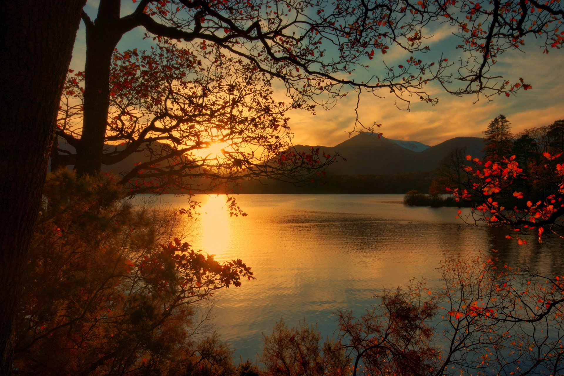 mountain lake tree leaves autumn dawn