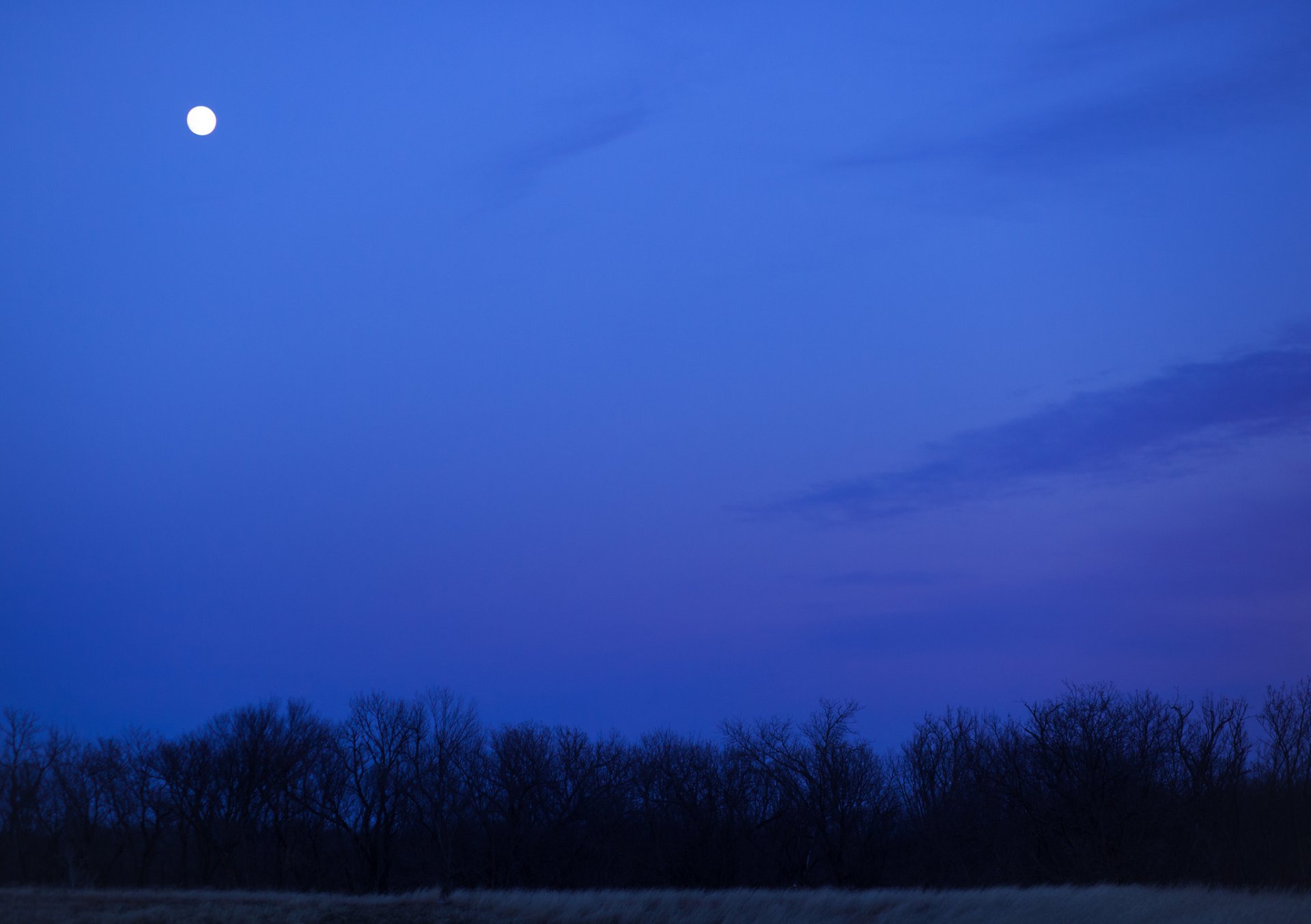 feld bäume nacht mond blau himmel wolken