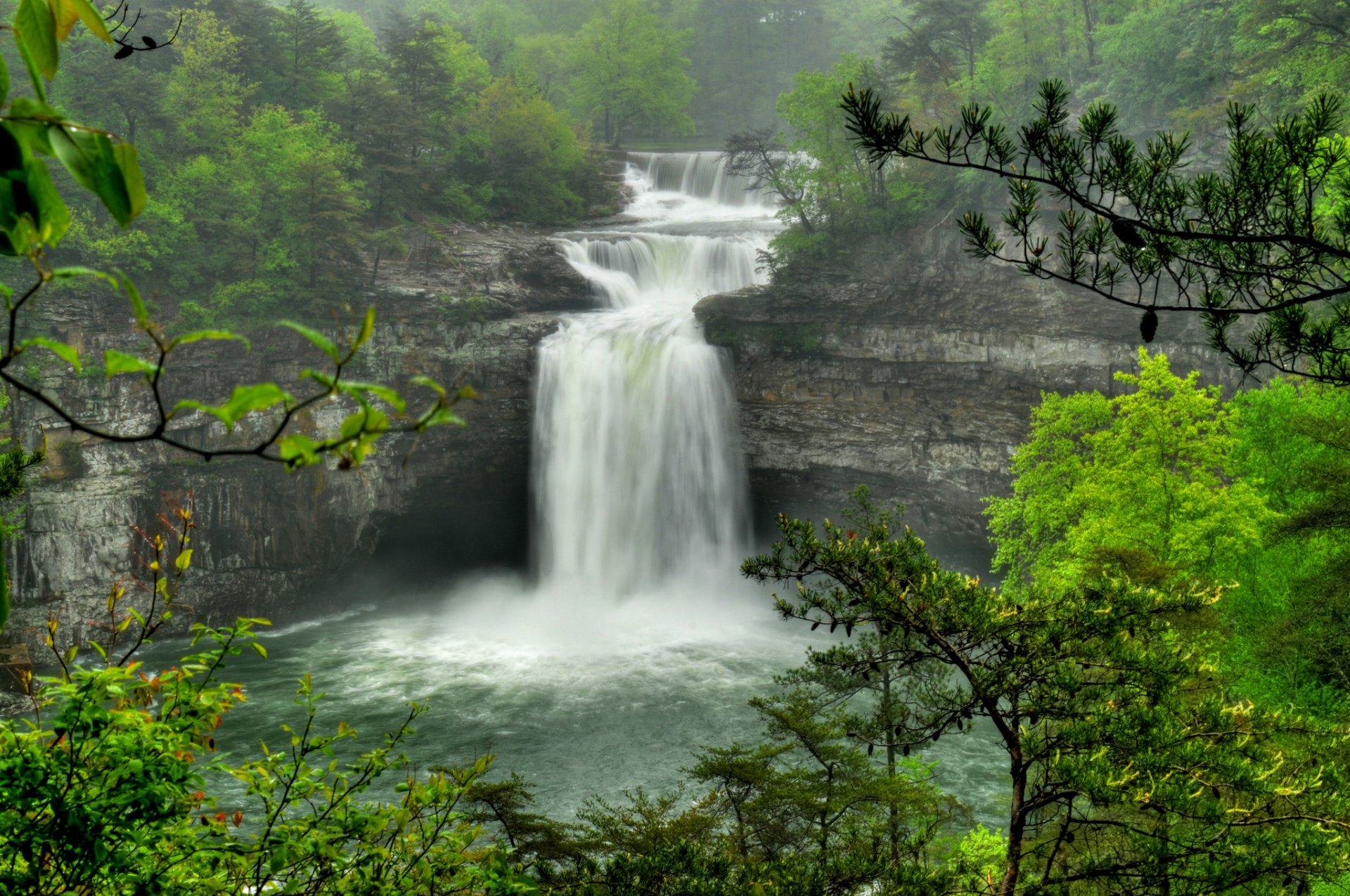 soto falls alabama cascata flusso rocce foresta alberi rami