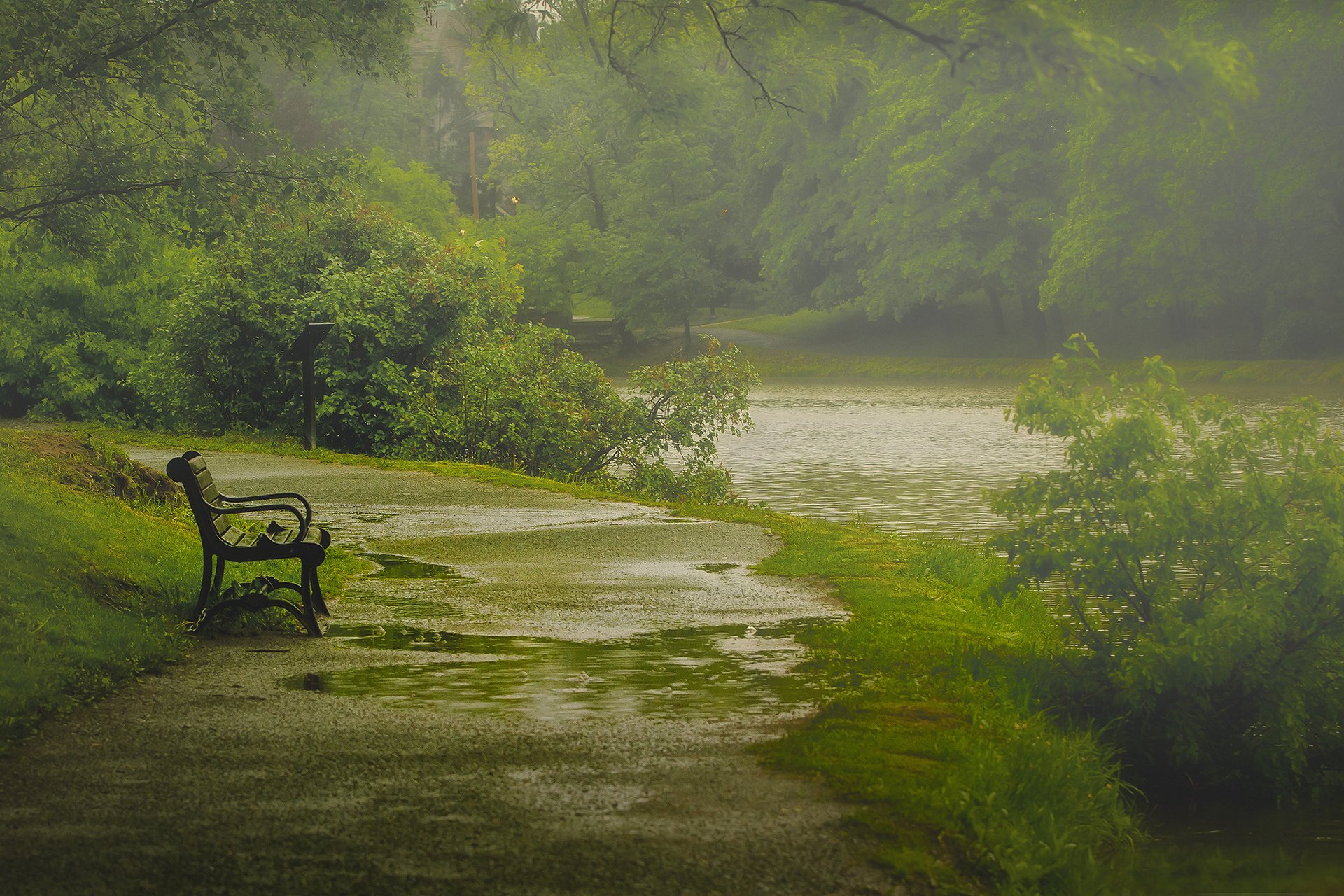 natur albany washington park geschäft regen frühling mai paul jolicoeur fotografie