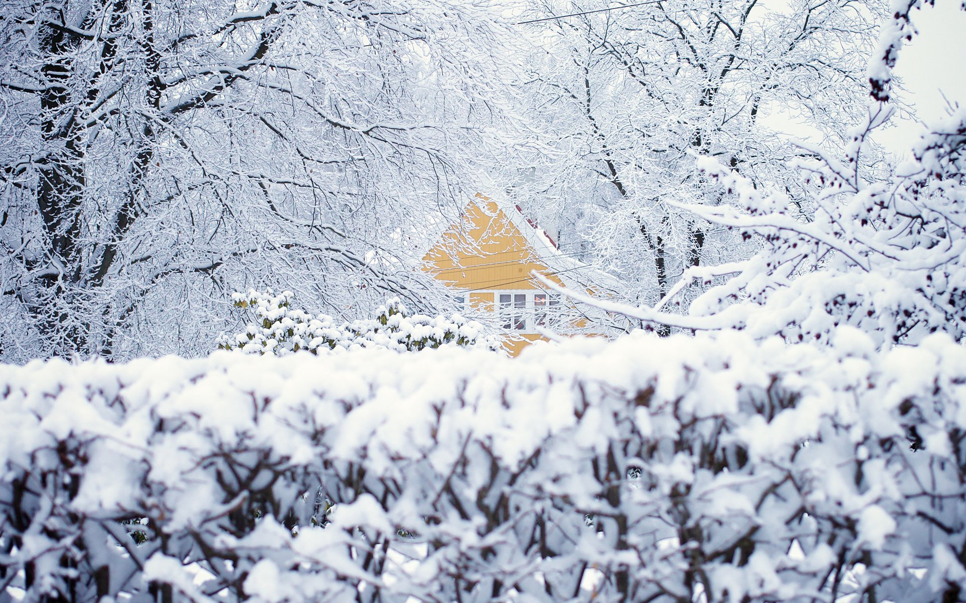 norway oslo winter snow house tree