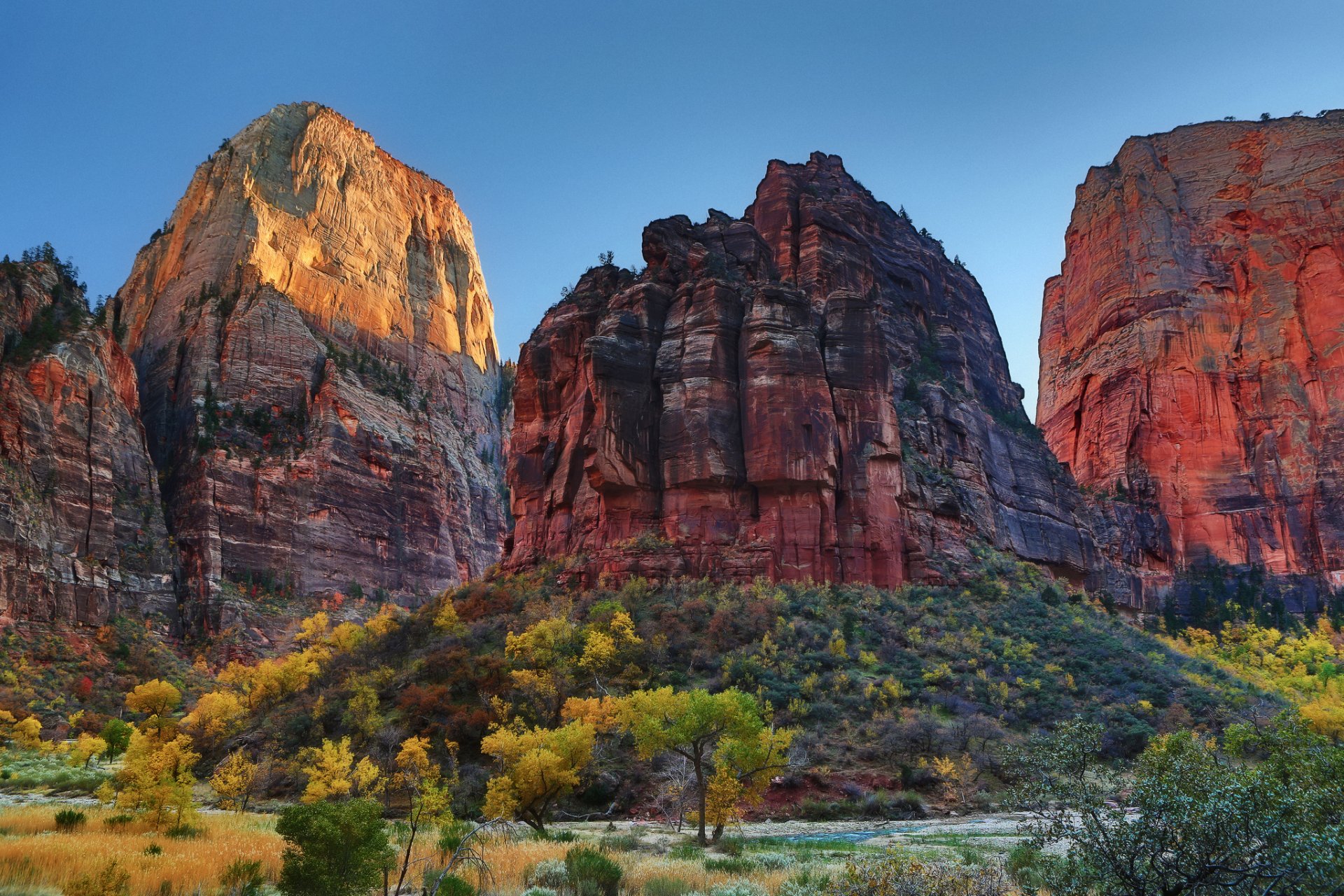 nature rock bush tree autumn sky united states zion national park sion utah