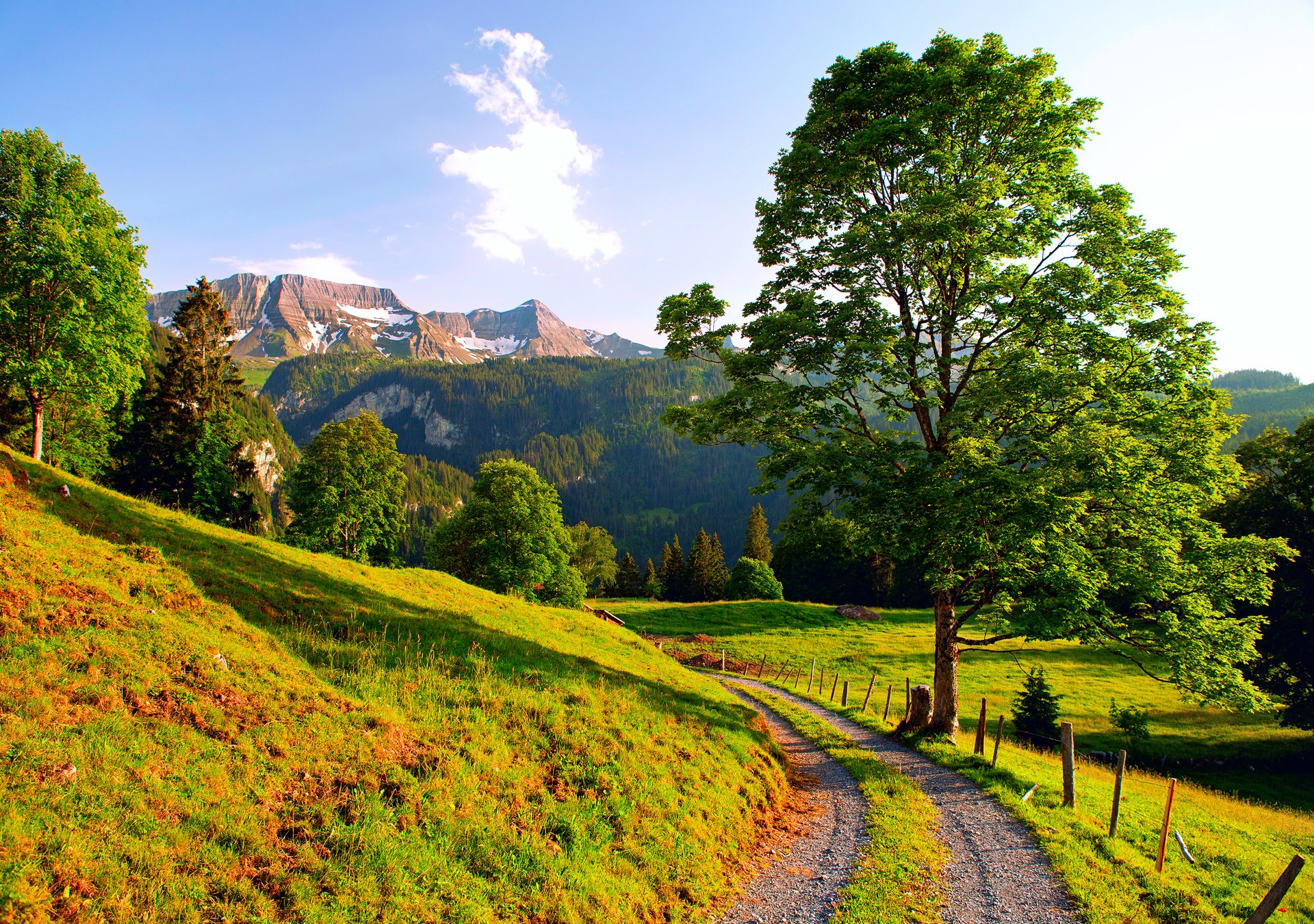 suiza montañas alpes carretera verano