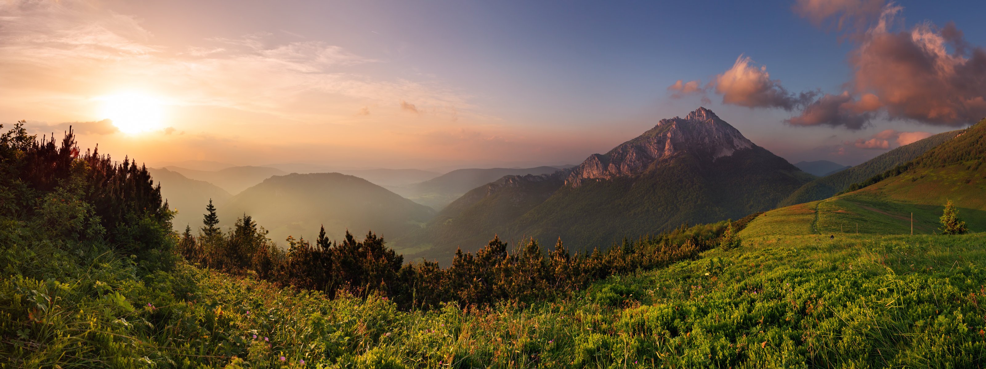 mountain clouds forest gra