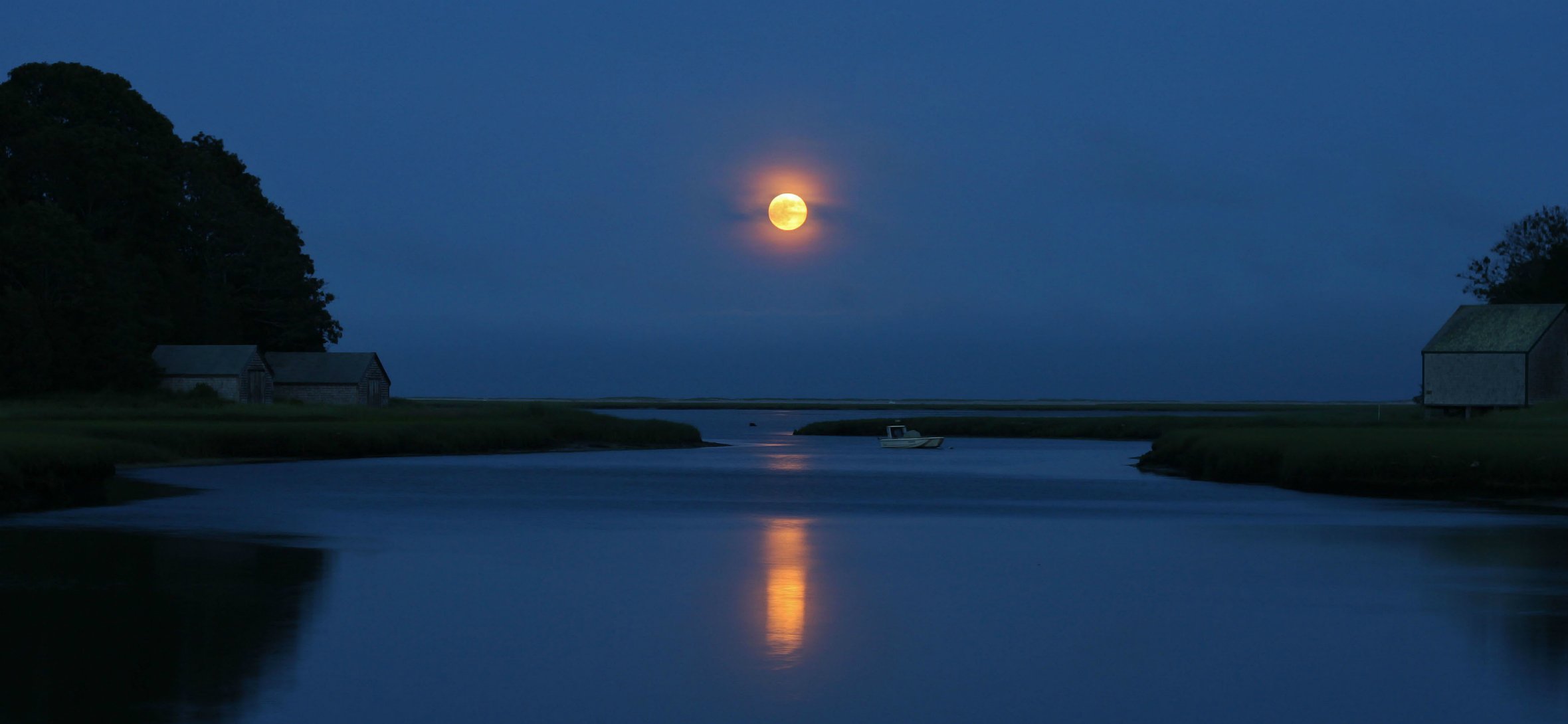 bäume fluss nacht blau himmel mond reflexion