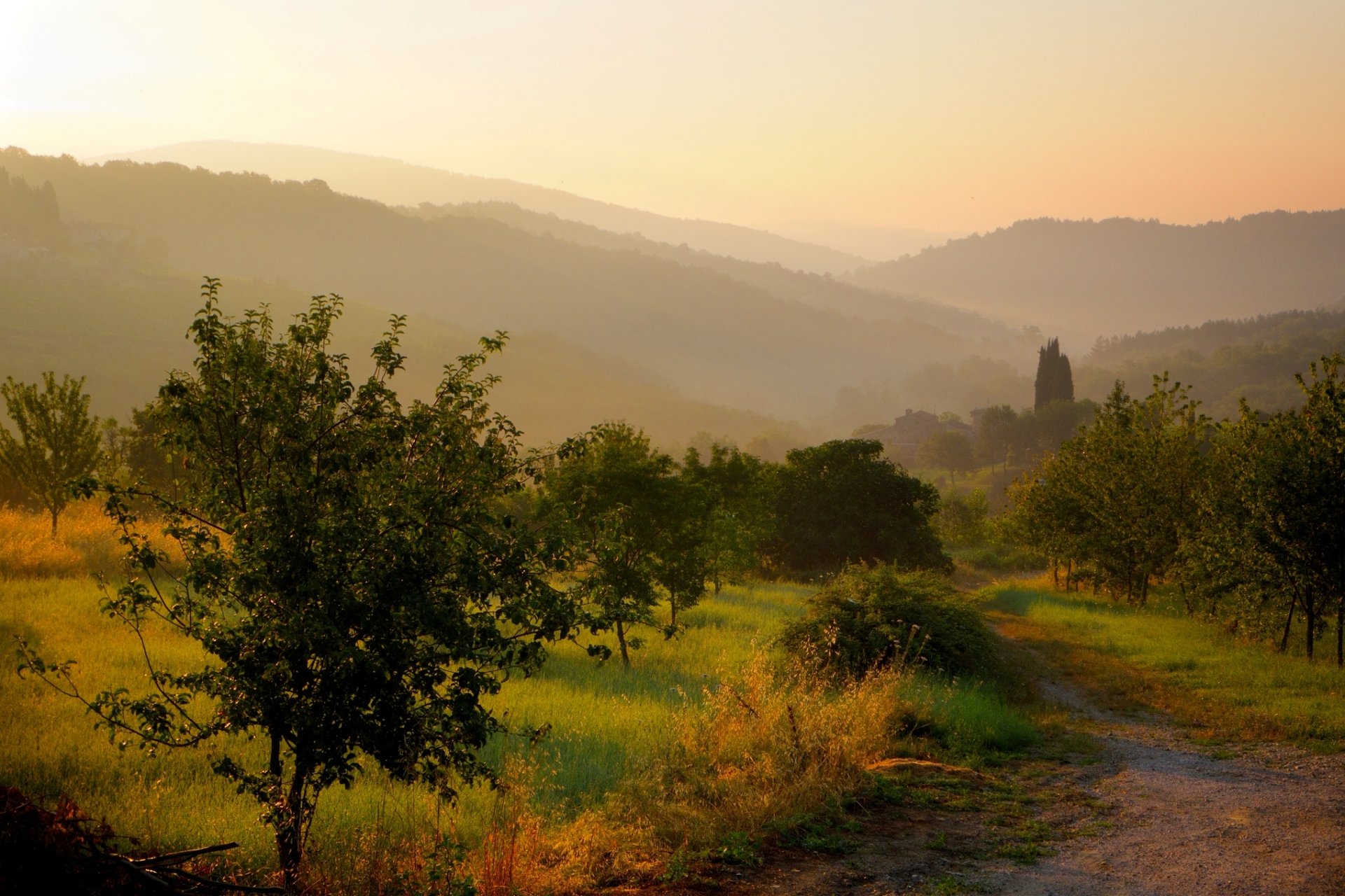 castellina in chianti toskania włochy castellina in chianti mgła poranek wschód słońca słońce natura krajobraz wzgórza ogrody drzewa trawa ścieżka droga