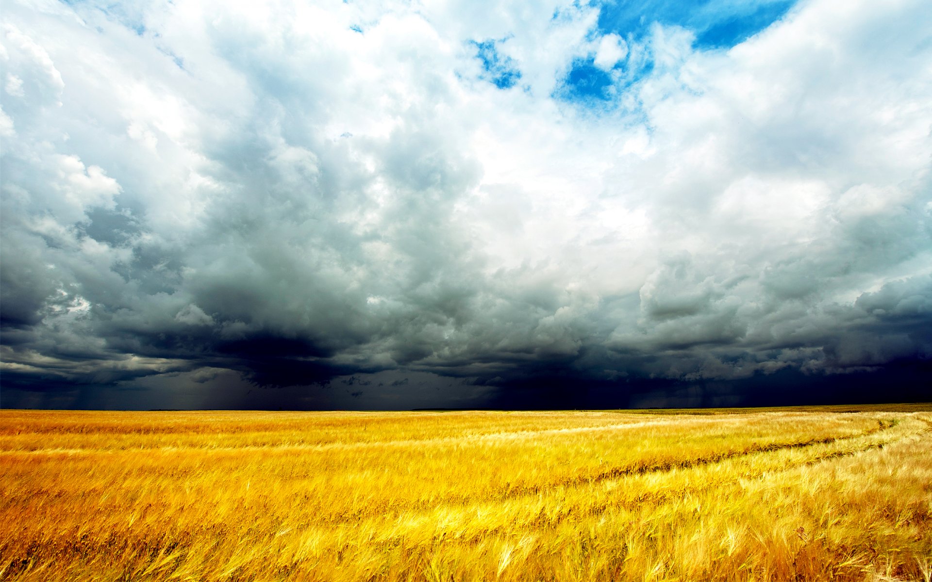 campo nubes cereales tormenta