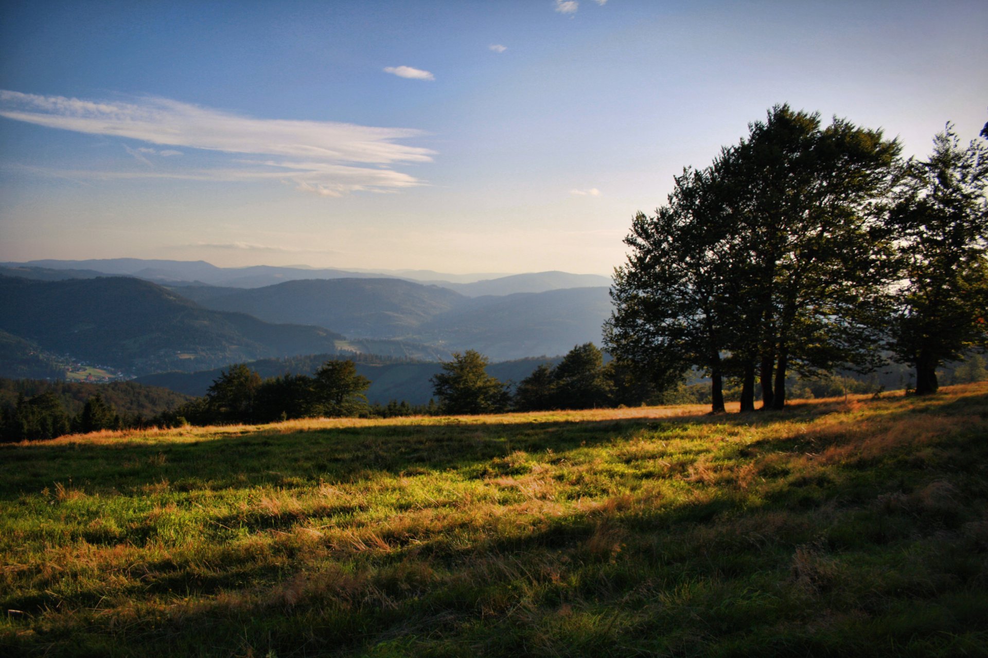 alberi colline erba raggi di sole nuvole cielo