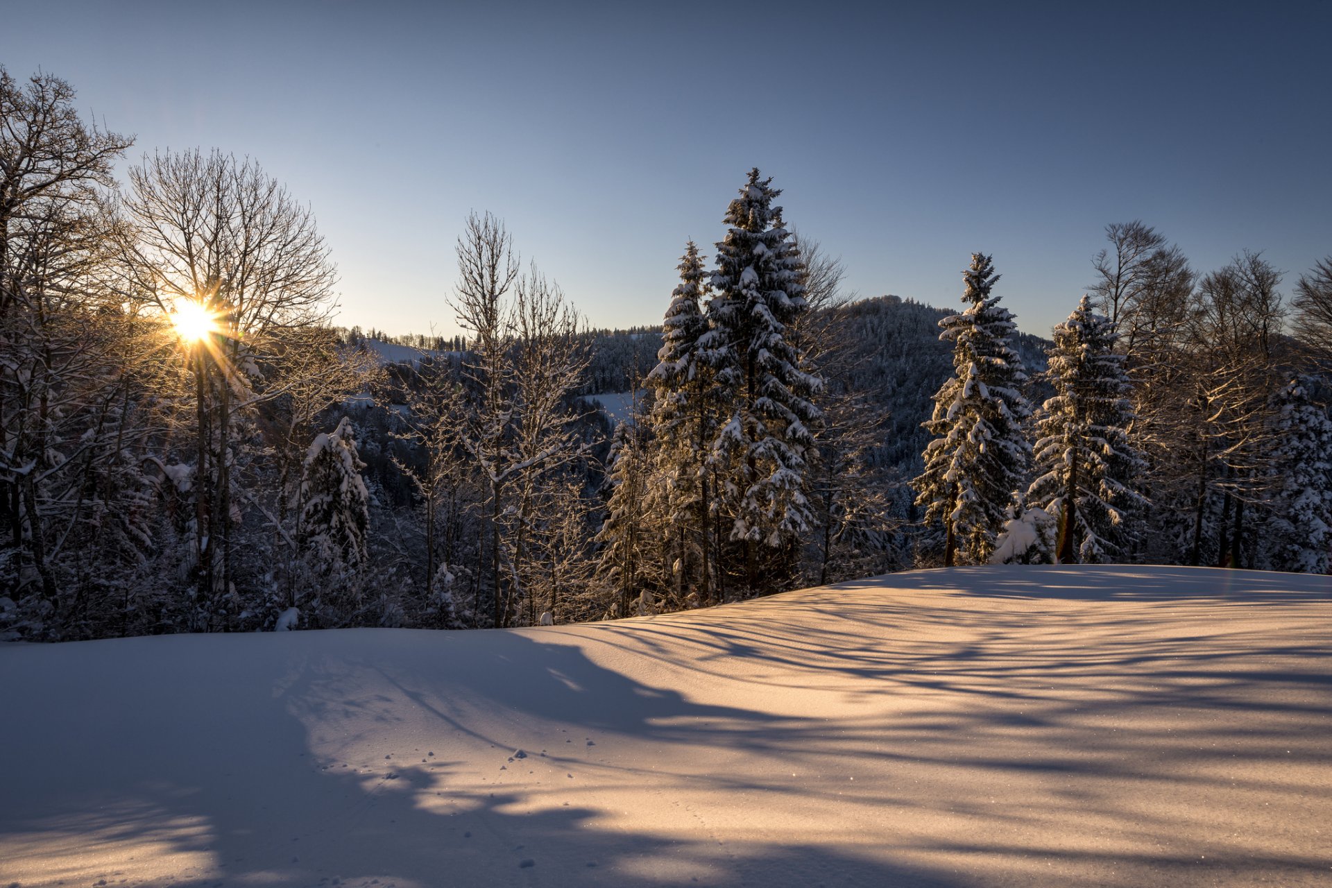 szwajcaria st. gallen hulftegg natura zima poranek słońce las śnieg philipp häfeli photography