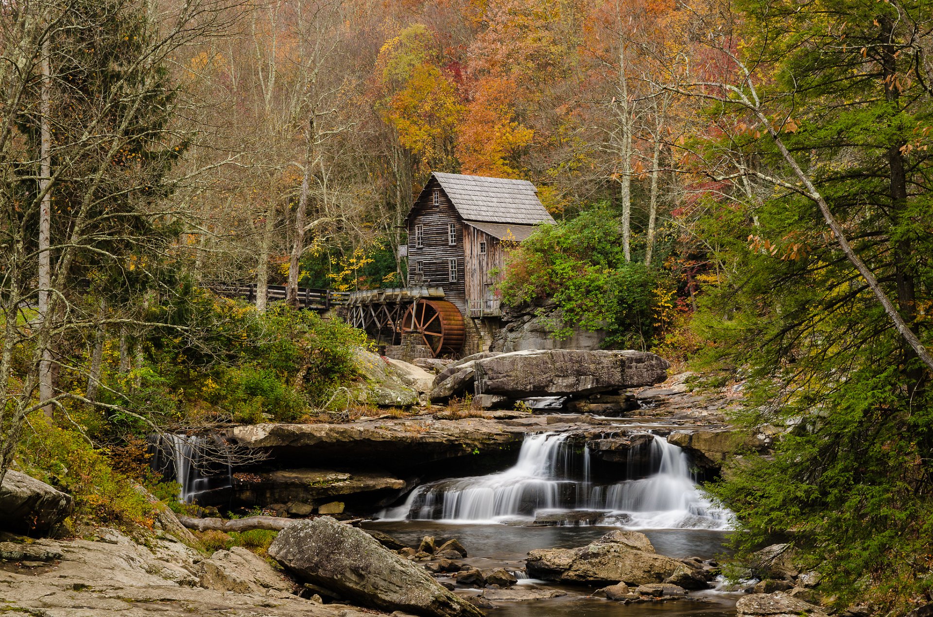 naturaleza bosque río arroyos molino de agua otoño