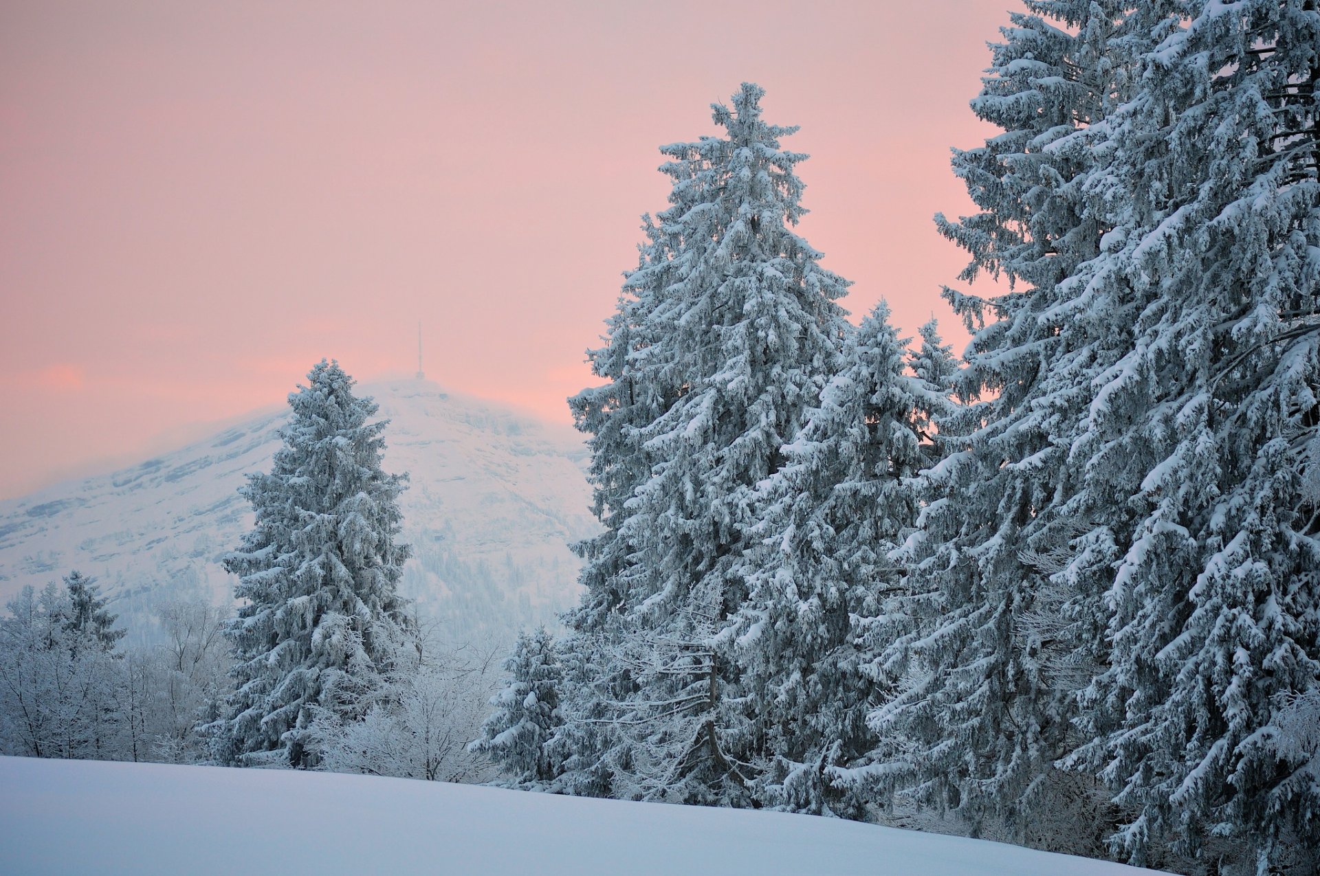 sera inverno neve colline aghi abeti alberi