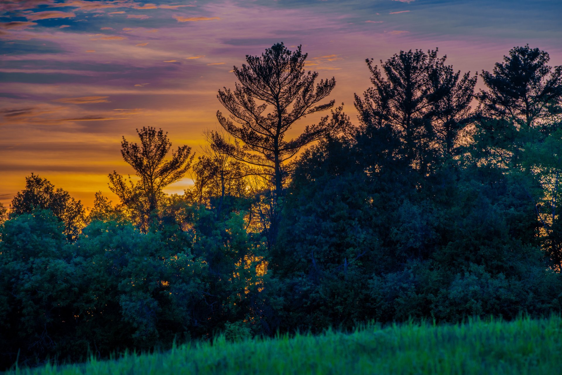 canada ontario province clairière arbres herbe soirée coucher de soleil ciel nuages