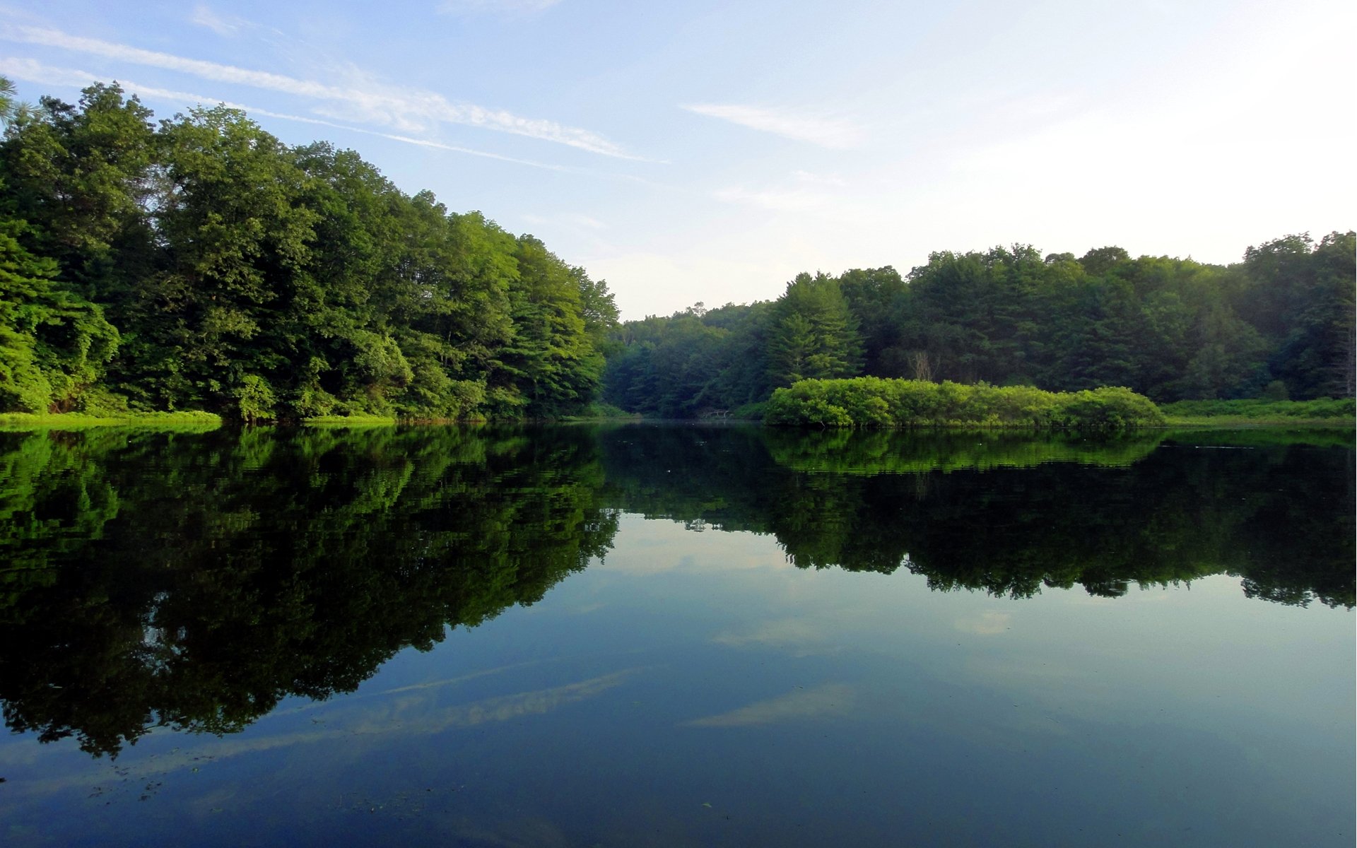 lago alberi verde acqua superficie liscia riflessione