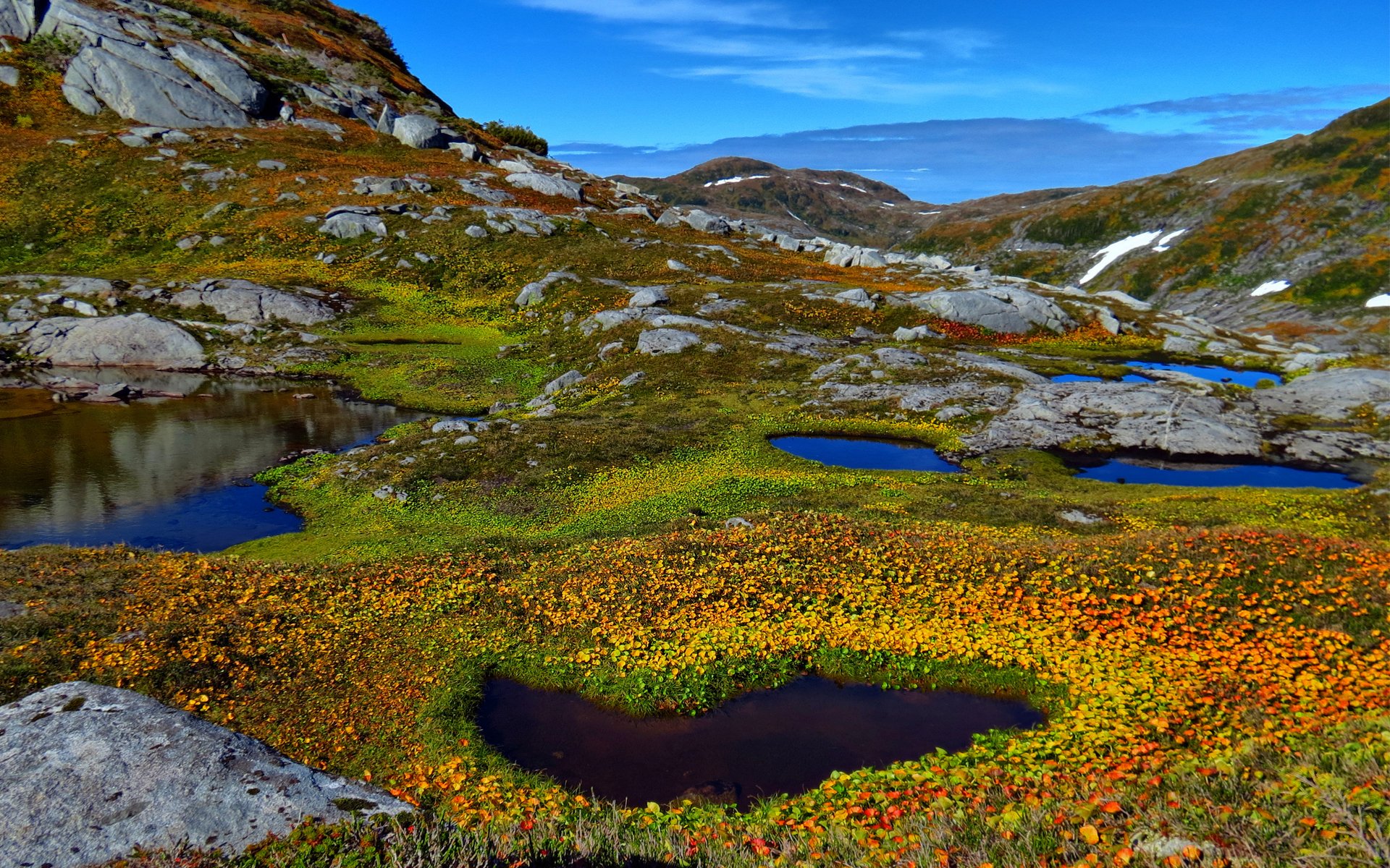 nature mountain lake pond water plants stone