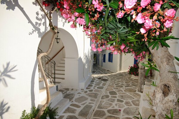 Santorini, white city